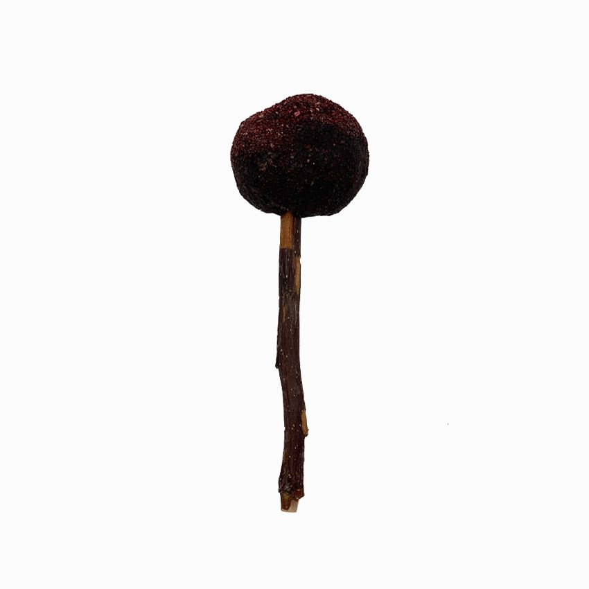 Cibo per conigli Woodchuck Lolly Ribes