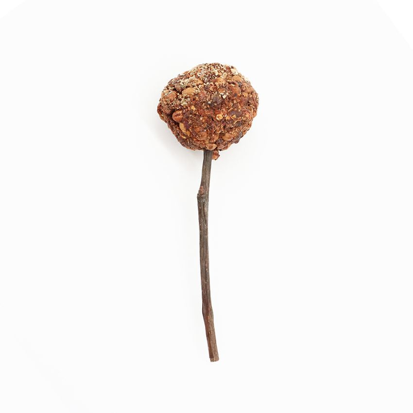 Snack naturel pour lapins et rongeurs - Woodchuck Lolly
