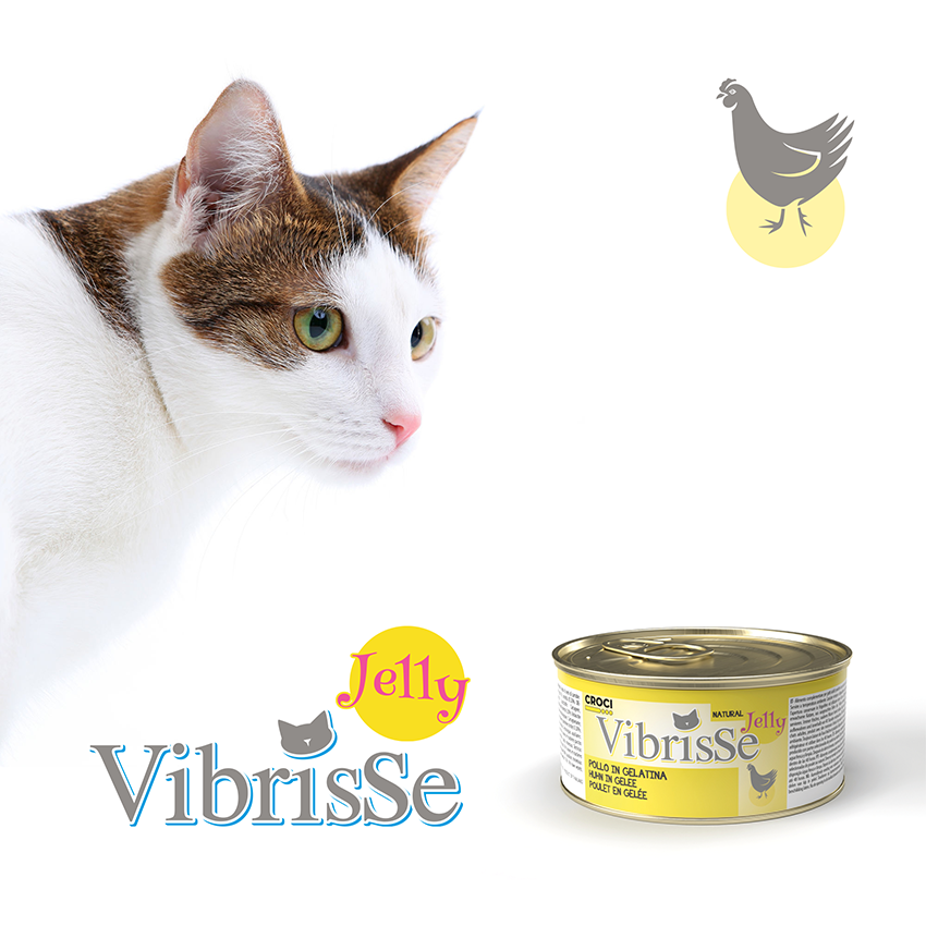 Vibrisse Jelly: cibo umido in gelatina per gatto in lattina da 70g