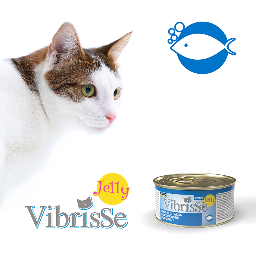 Vibrisse Jelly: cibo umido in gelatina per gatto in lattina da 70g