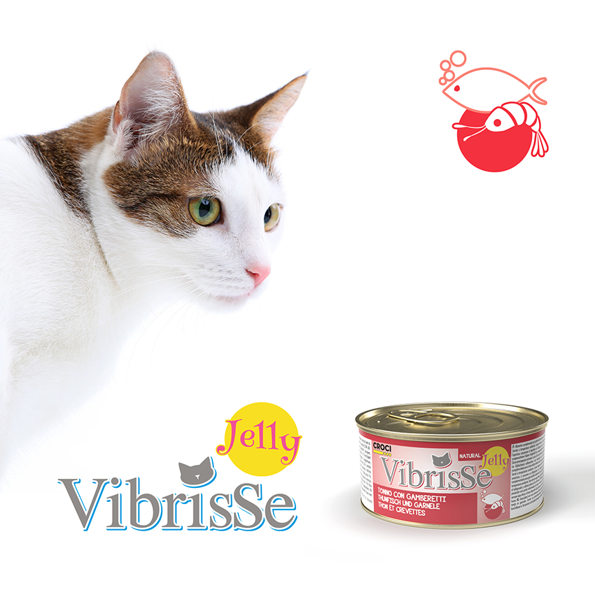 Vibrisse Jelly: cibo umido in gelatina per gatto in lattina da 70g