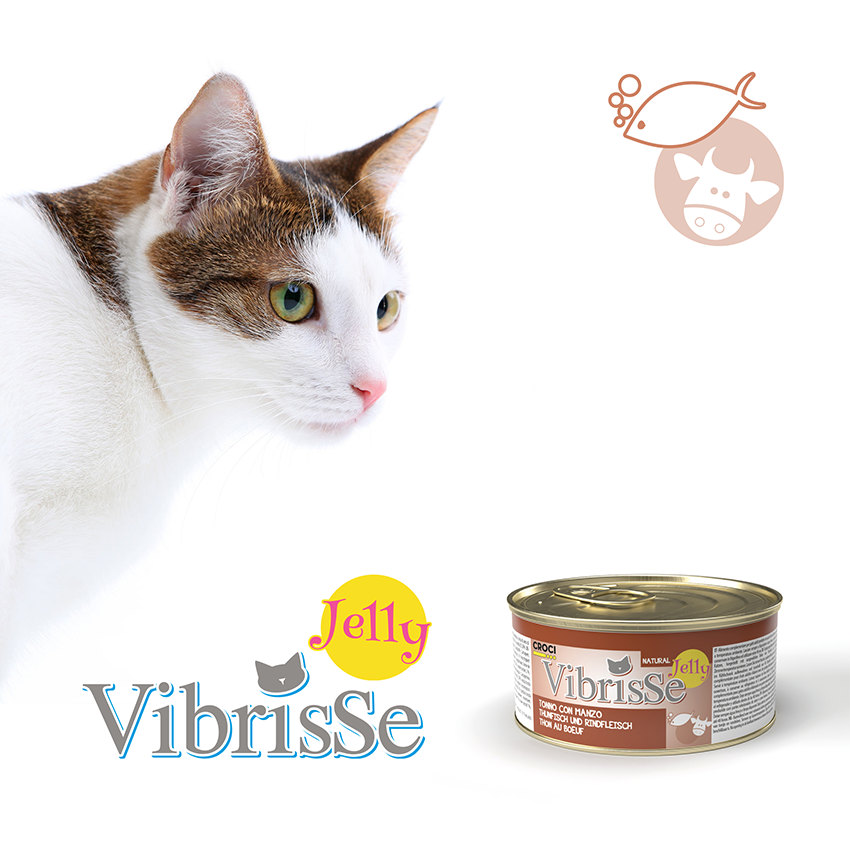 Vibrisse Jelly: cibo umido in gelatina per gatto in lattina da 70g