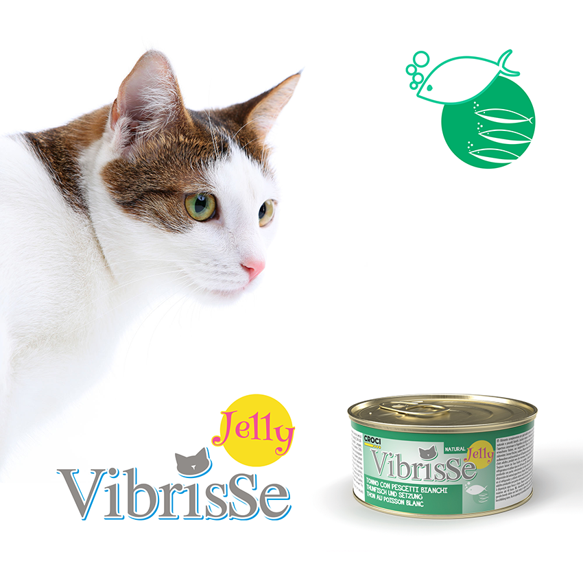 Vibrisse Jelly: cibo umido in gelatina per gatto in lattina da 70g