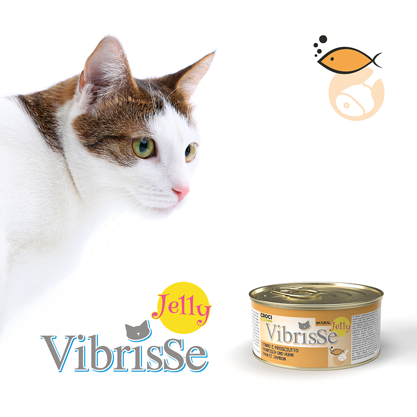Vibrisse Jelly: cibo umido in gelatina per gatto in lattina da 70g