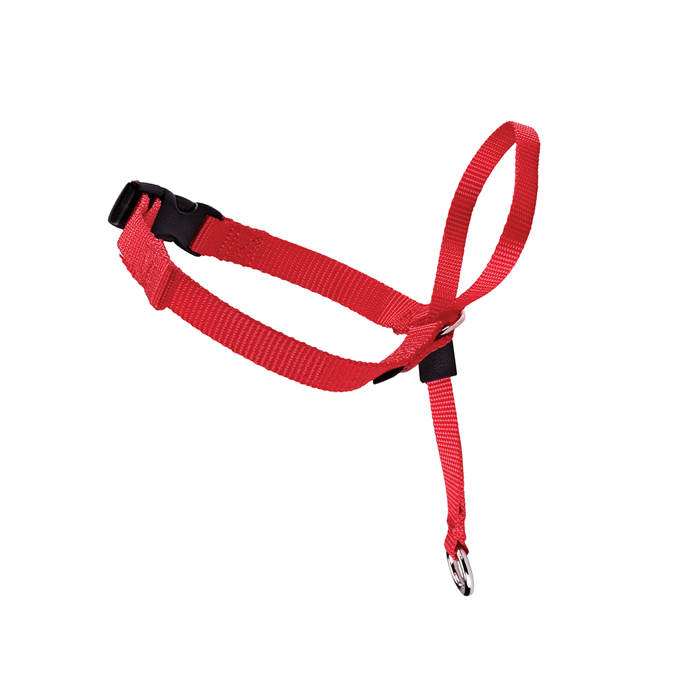 Collare a cavezza per cani rosso