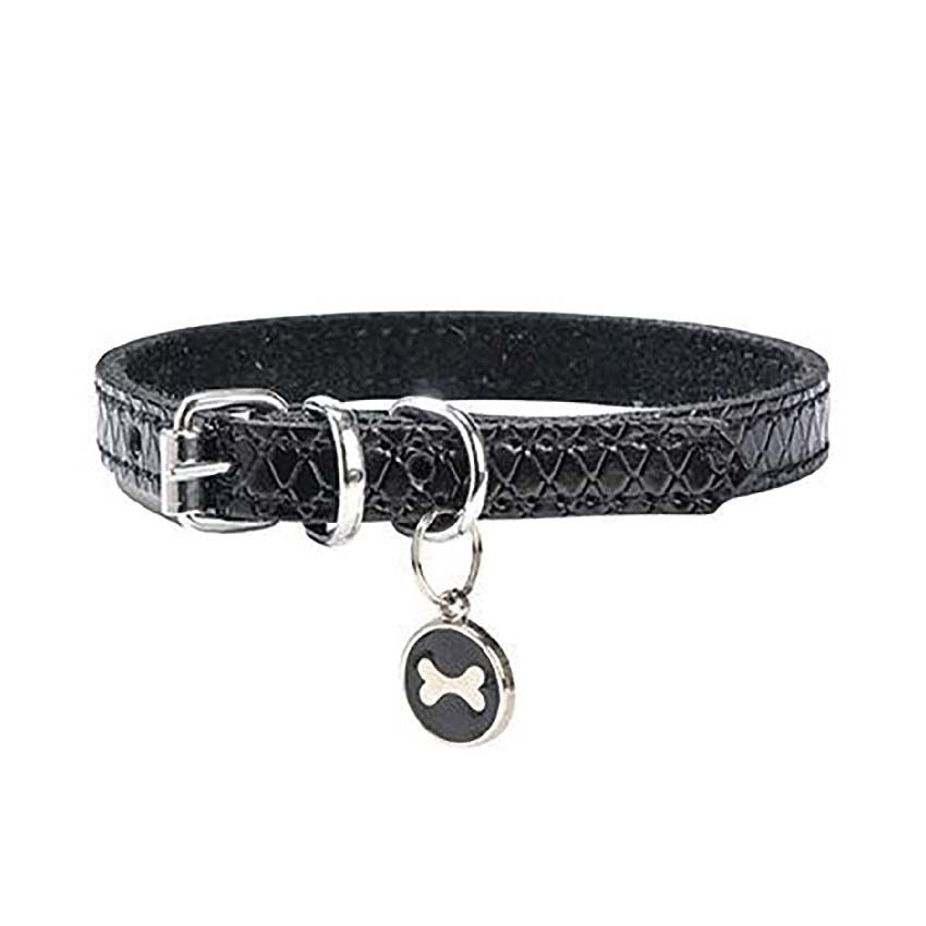 Collier pour chien Bobby - Power
