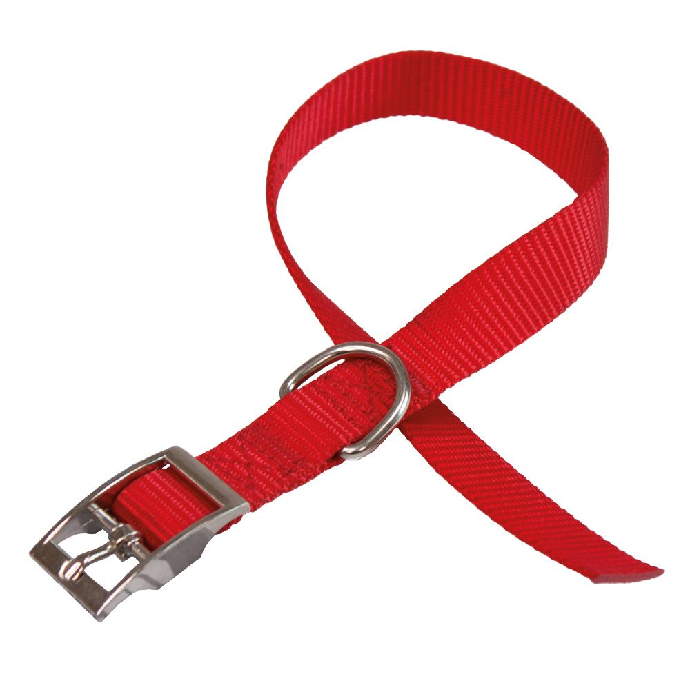 Nylon dog collar