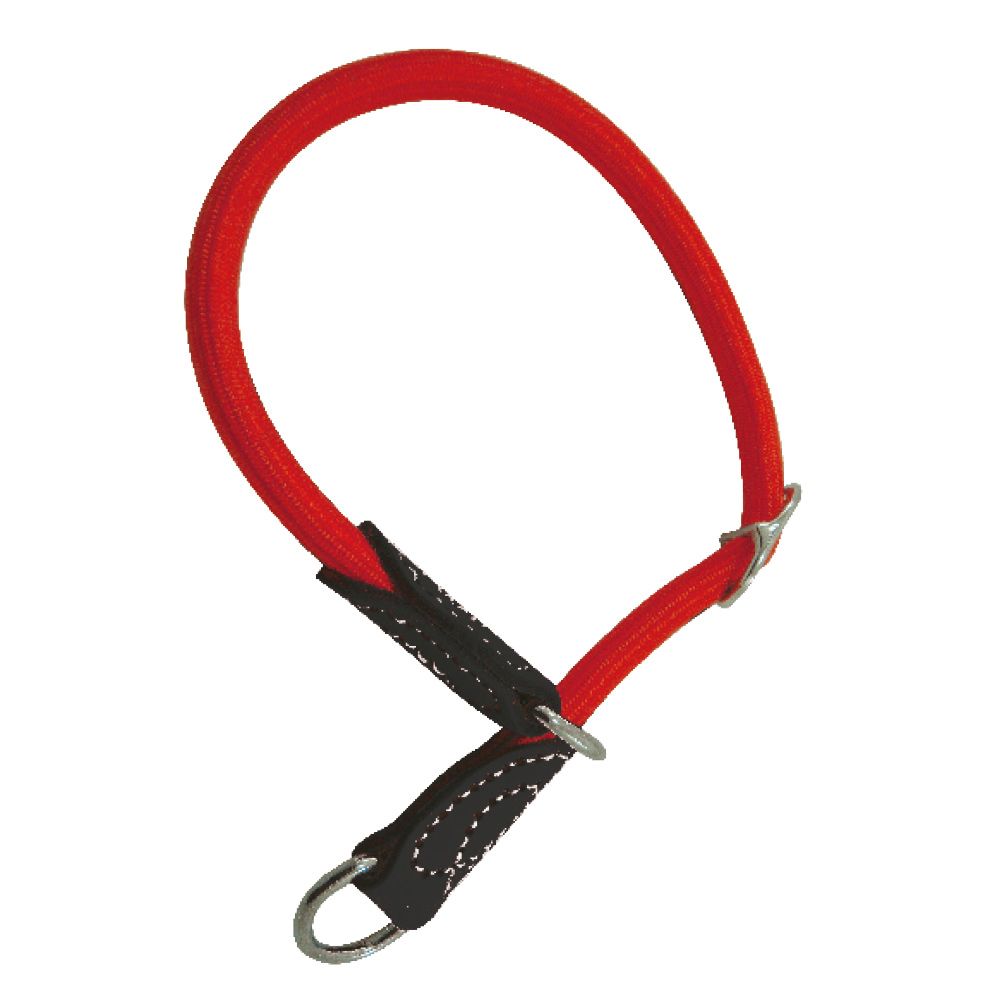 Collier tubulaire pour chien