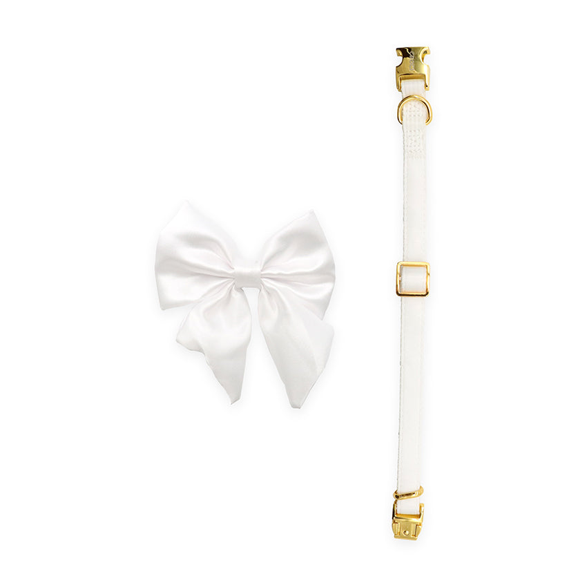 Ceremony dog collar - Bride