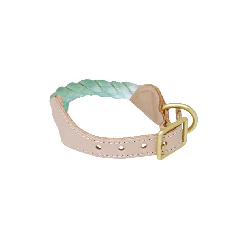 Rope dog collar - Sorbet