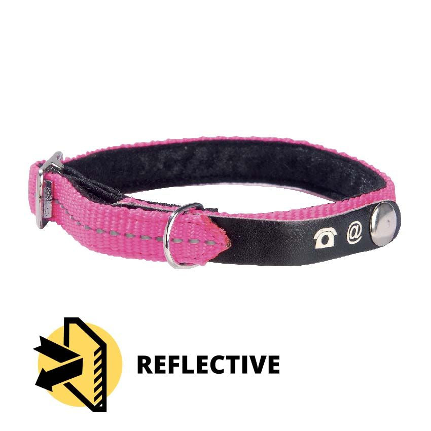 Bobby cat collar - Lost