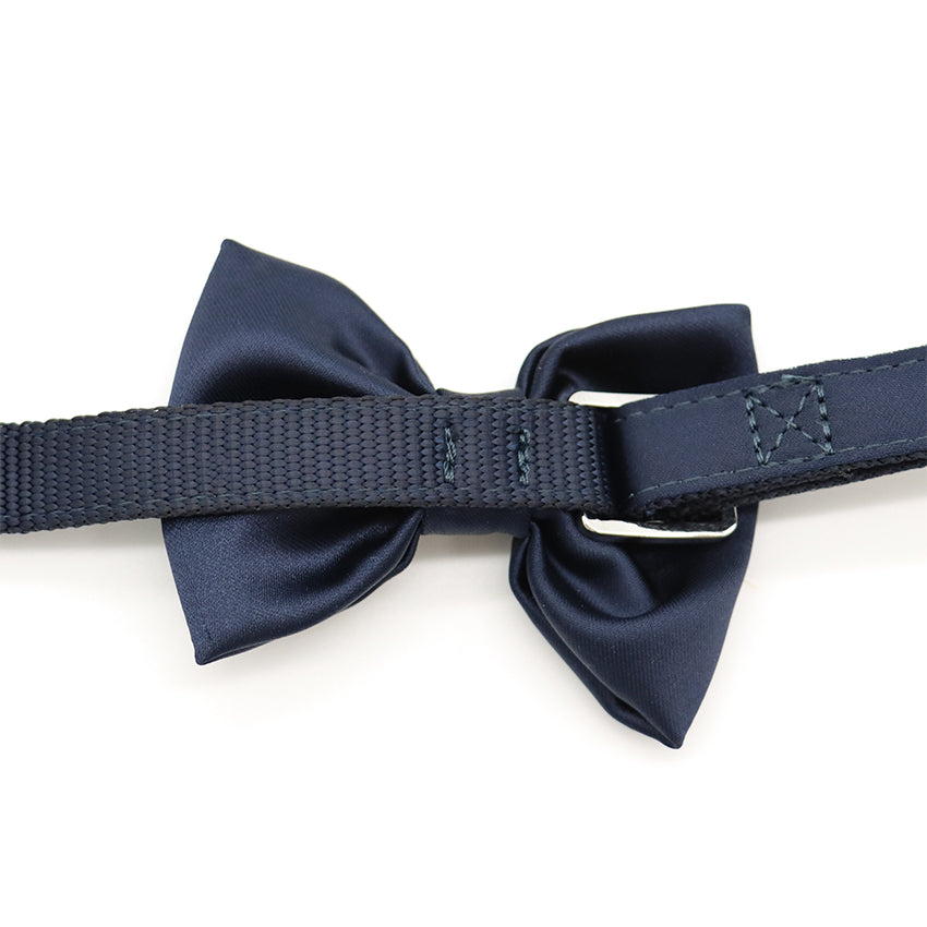 Dog collar with bow tie - Ceremony