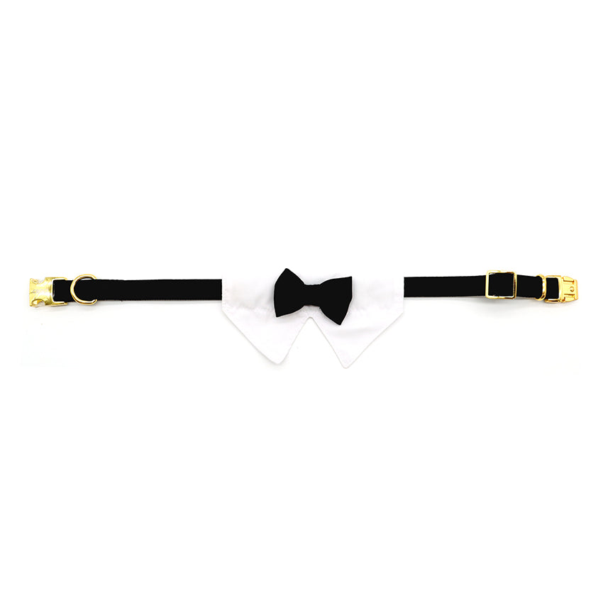 Dog collar with collar and bow tie Ceremony - Tuxedo