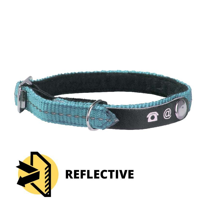 Bobby cat collar - Lost