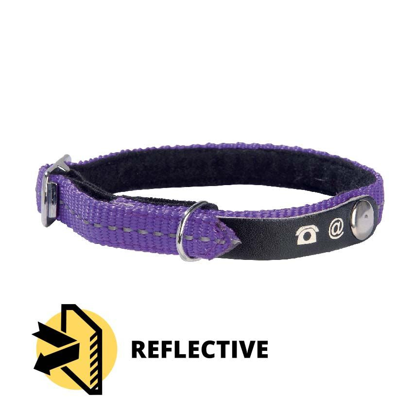 Bobby cat collar - Lost