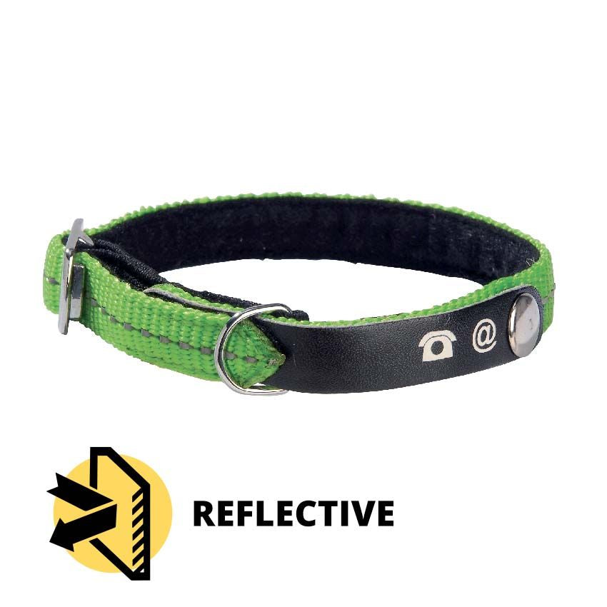 Bobby cat collar - Lost