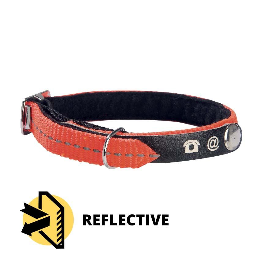 Bobby cat collar - Lost