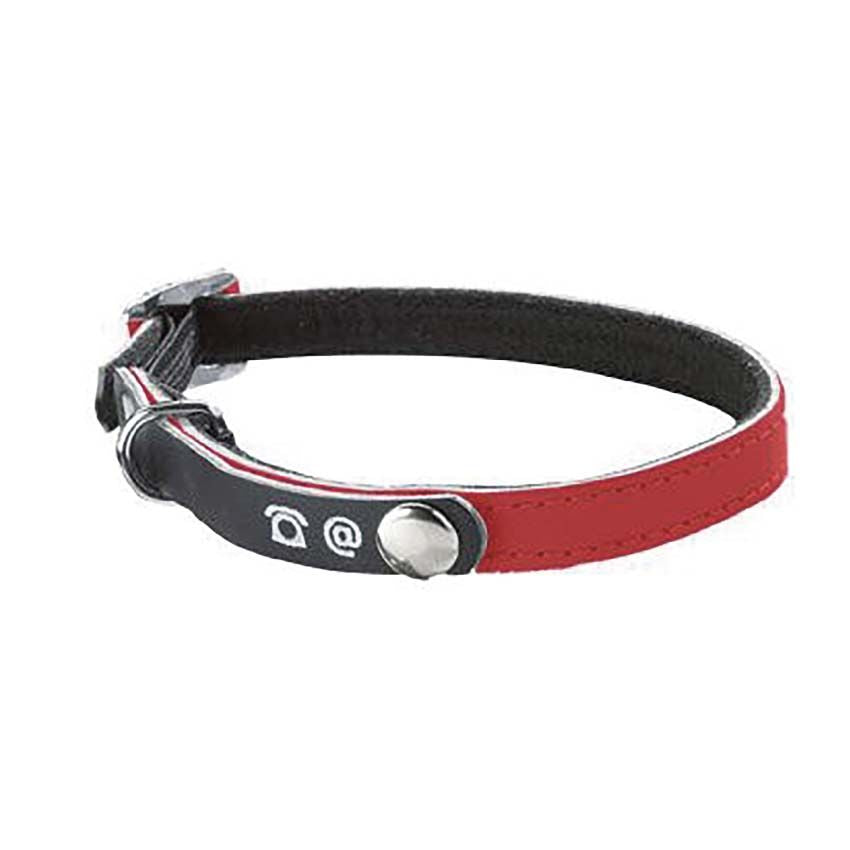 Address holder reflective cat collar - Bobby