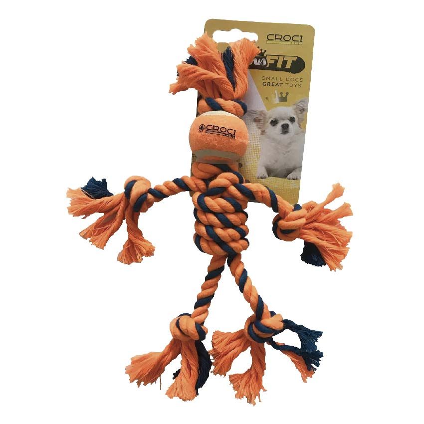 Jeu de chien de Cotonosso avec ballon