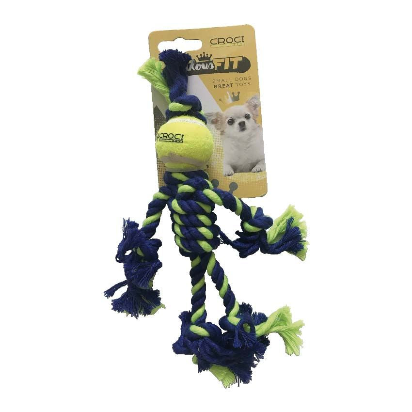 Jeu de chien de Cotonosso avec ballon