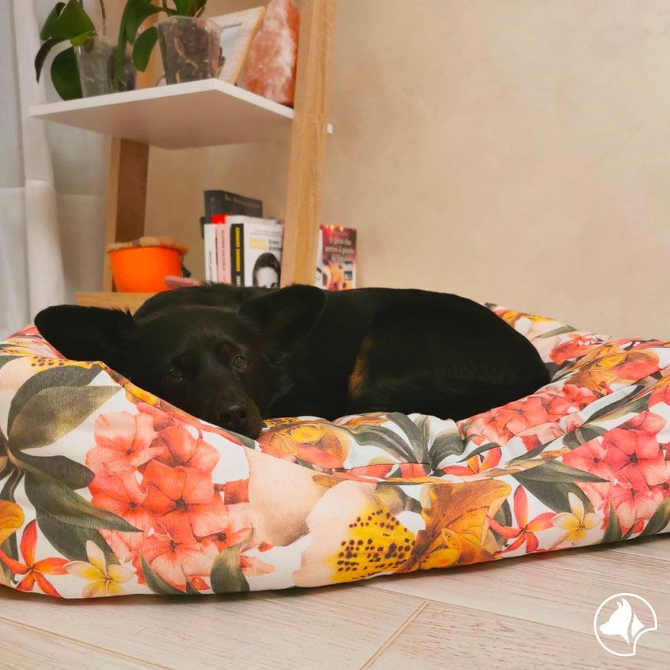 Oval dog and cat cushion - Exotic