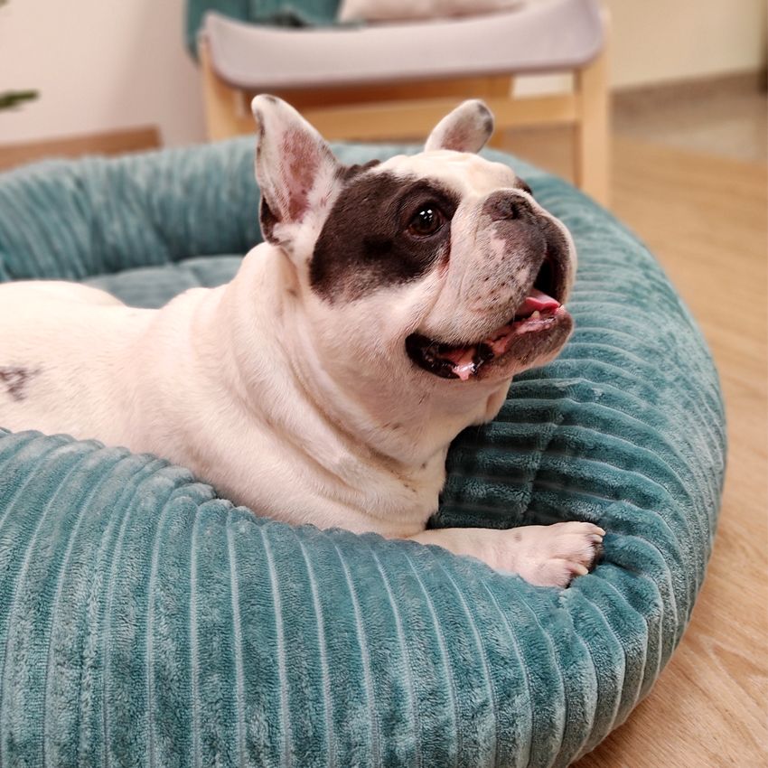 Cuccia morbida per cani Supersoft Verde