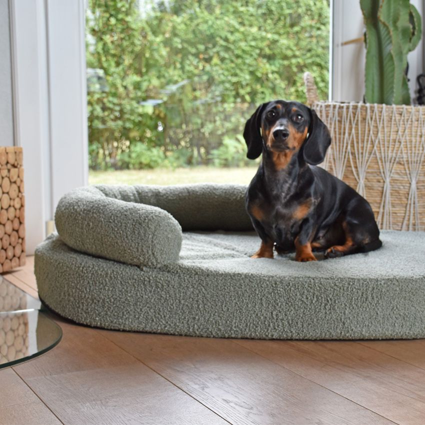 Cuccia per cani taglia piccola Bobby Boucle