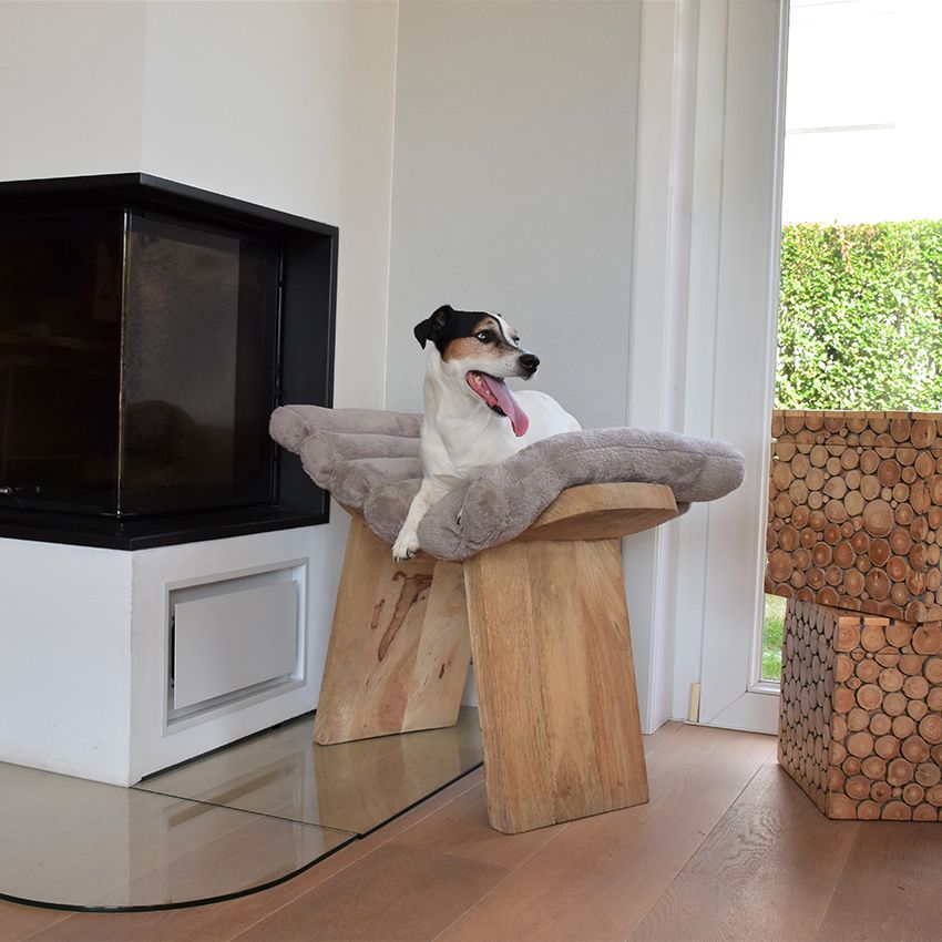 Feather: materasso per cane e gatto Bobby