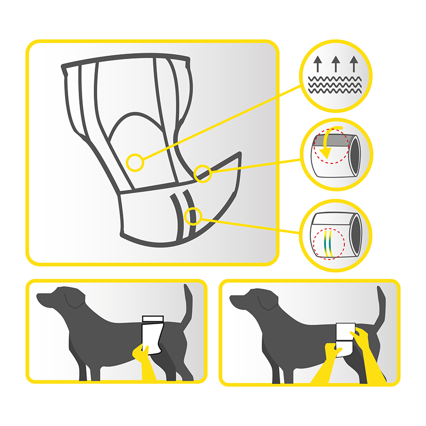 Bande d'hygiène pour chiens mâles - Dog Nappy