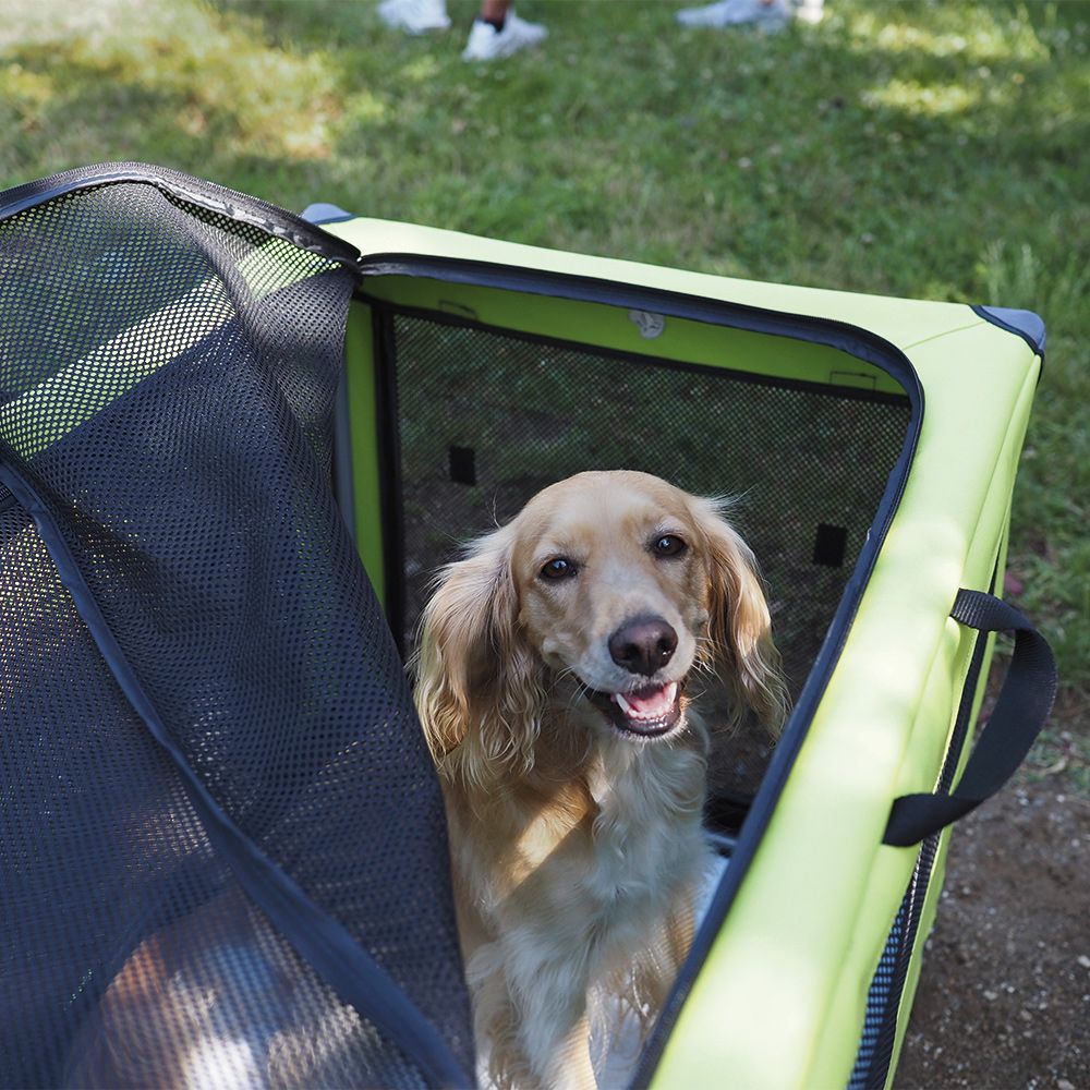 Denver Enclosure Carrier for Animals