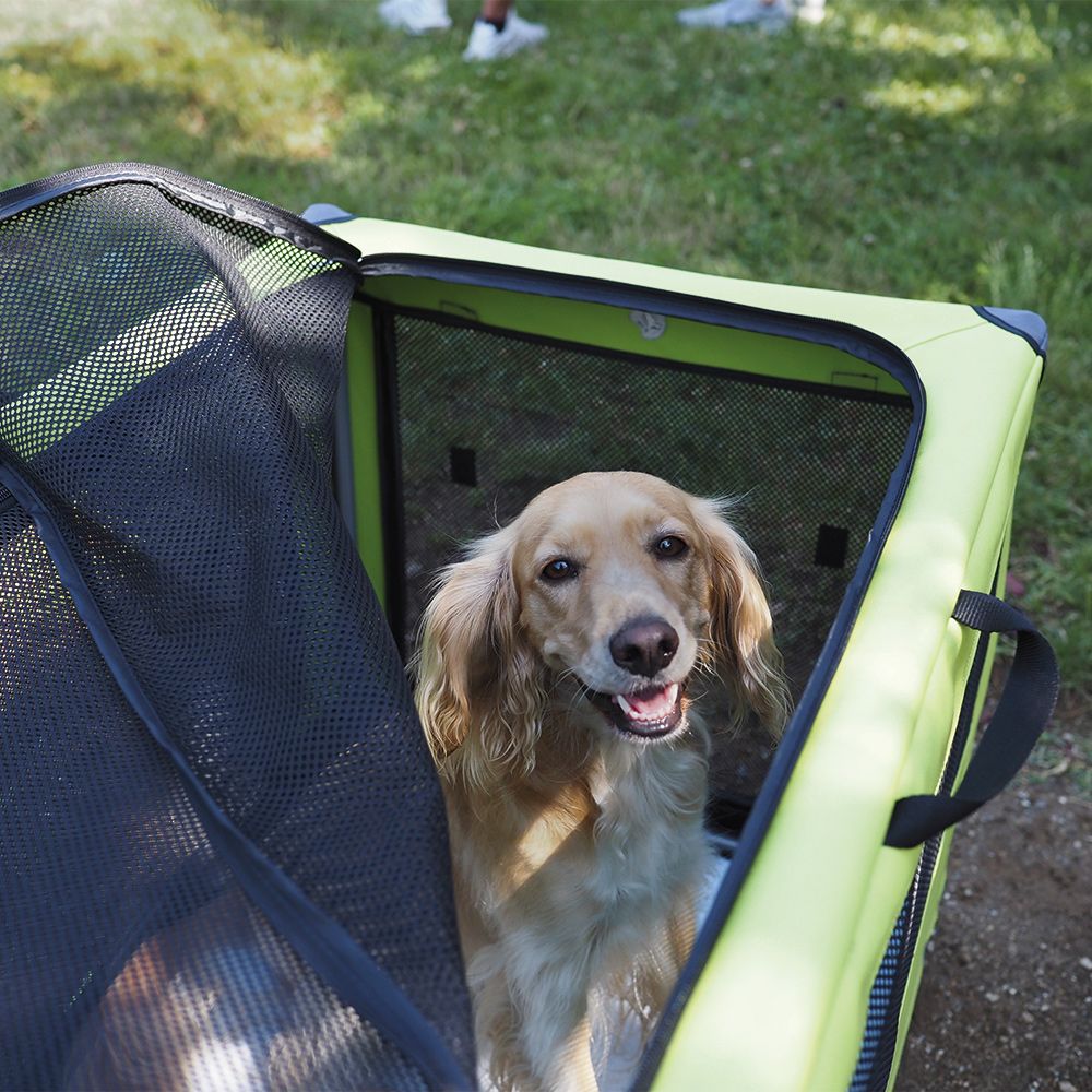 Transportador de recintos Denver para animales