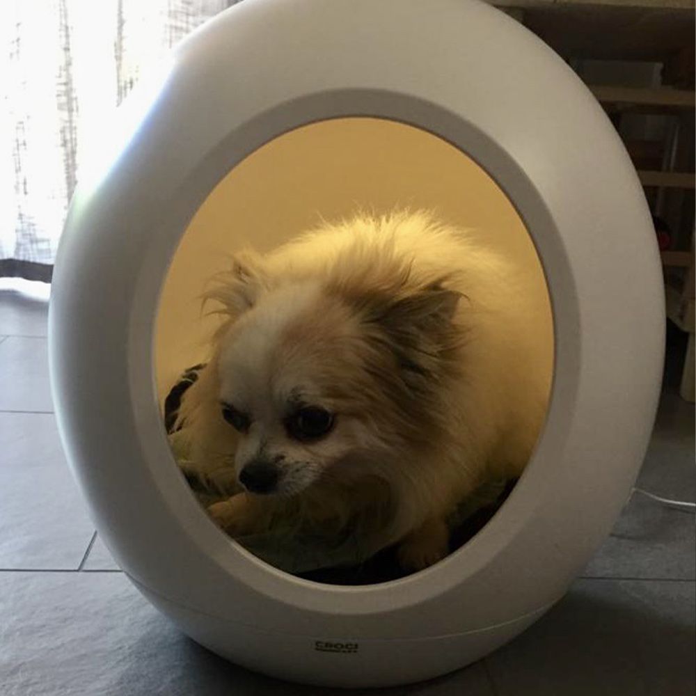 Domus technological kennel for cats and dogs