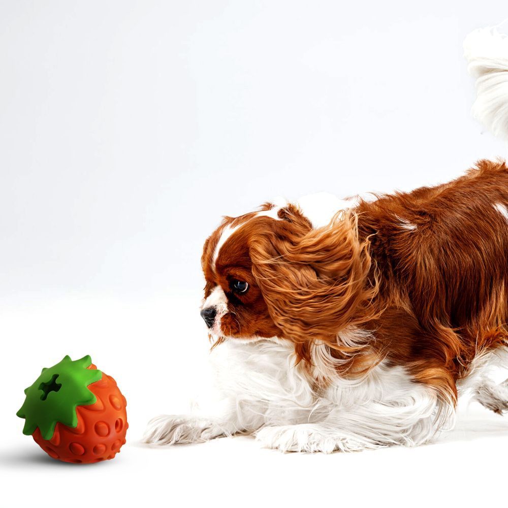 Jeu de Fraises Panton en Caoutchouc Naturel