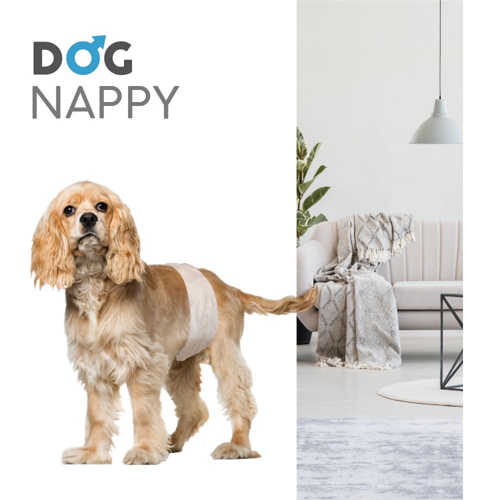Fascia igienica per cani maschi Dog Nappy