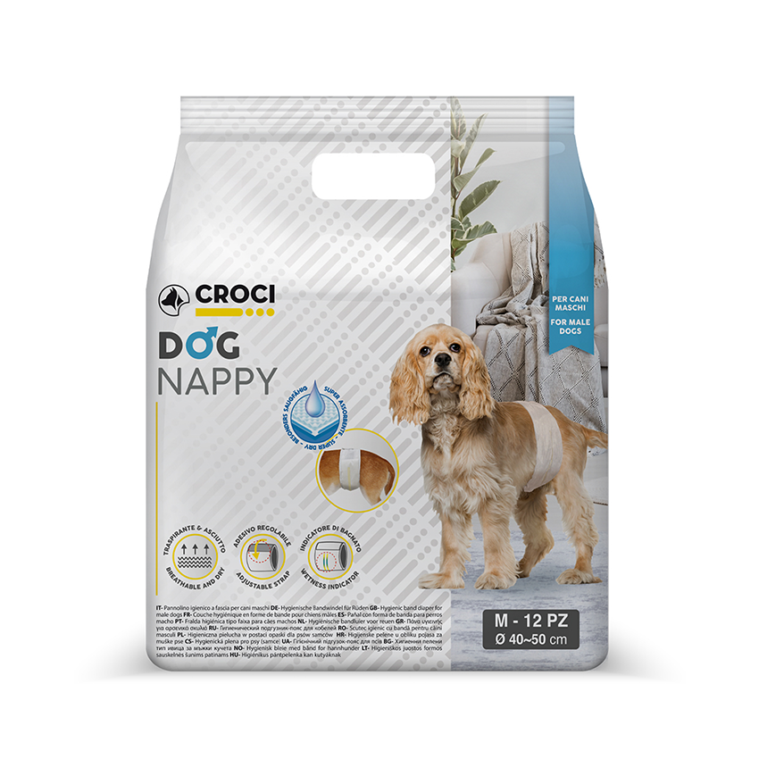 Bande d'hygiène pour chiens mâles - Dog Nappy