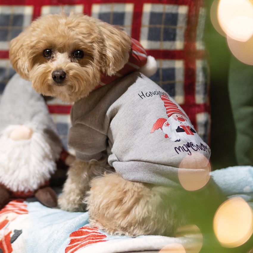 Felpa per cani XMas Gnomies