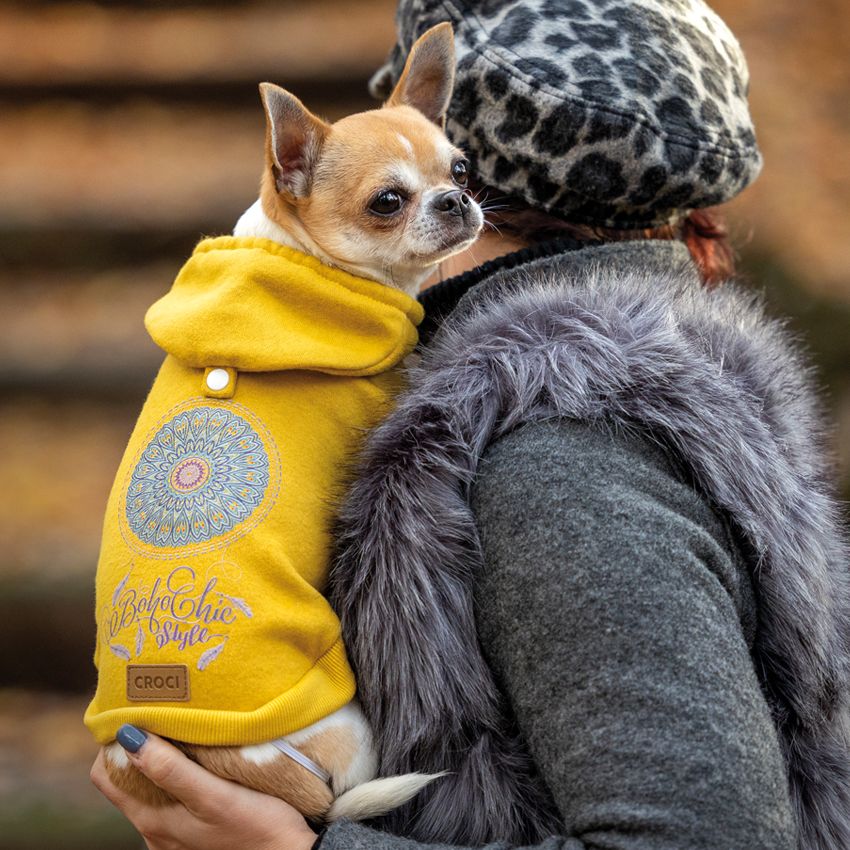 Felpa per cane taglia media Dreamcatcher