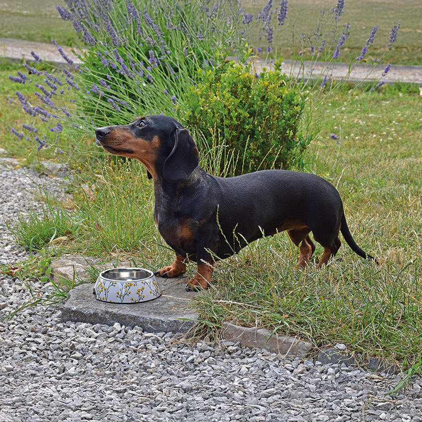 Ciotola in melamina Bobby Fleur con vaschetta in acciaio inox