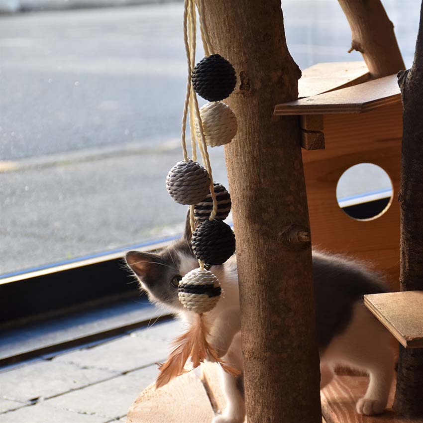 Jeu de griffoir Bobby Cat avec balles - Bille
