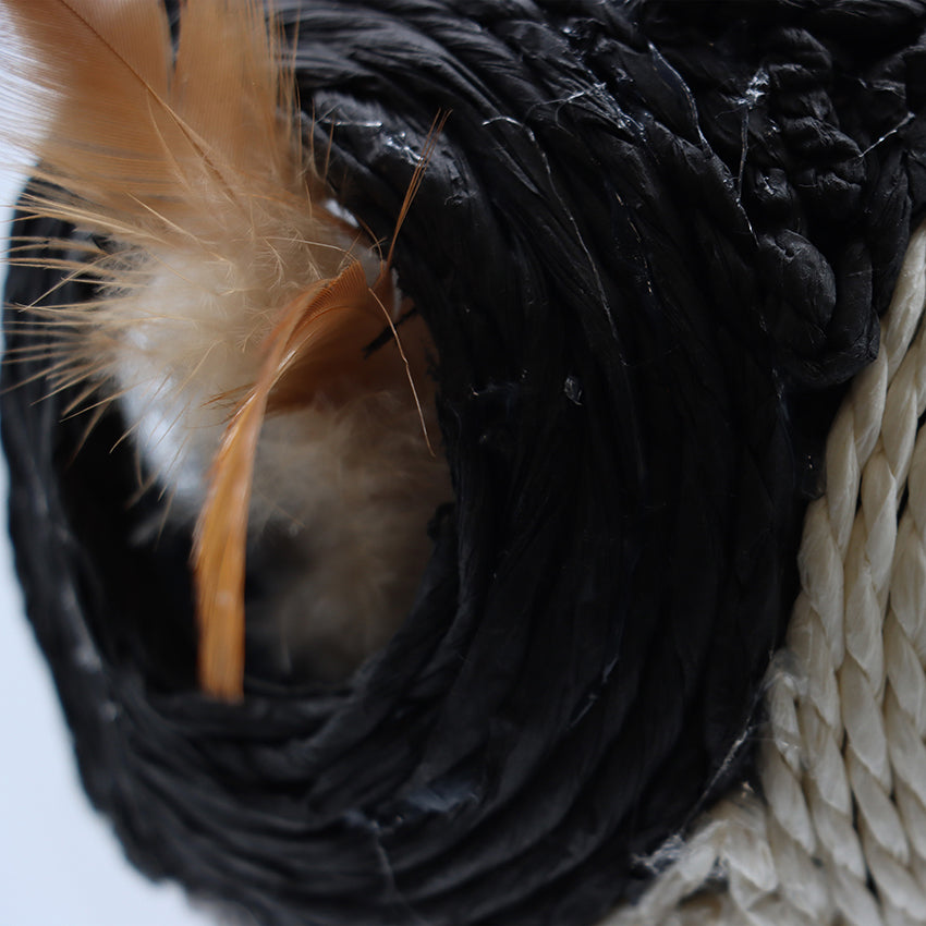 Faccette: gioco per gatto con palla graffiabile Bobby