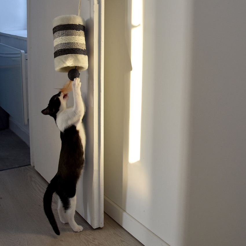 Cat scratching post - Roll