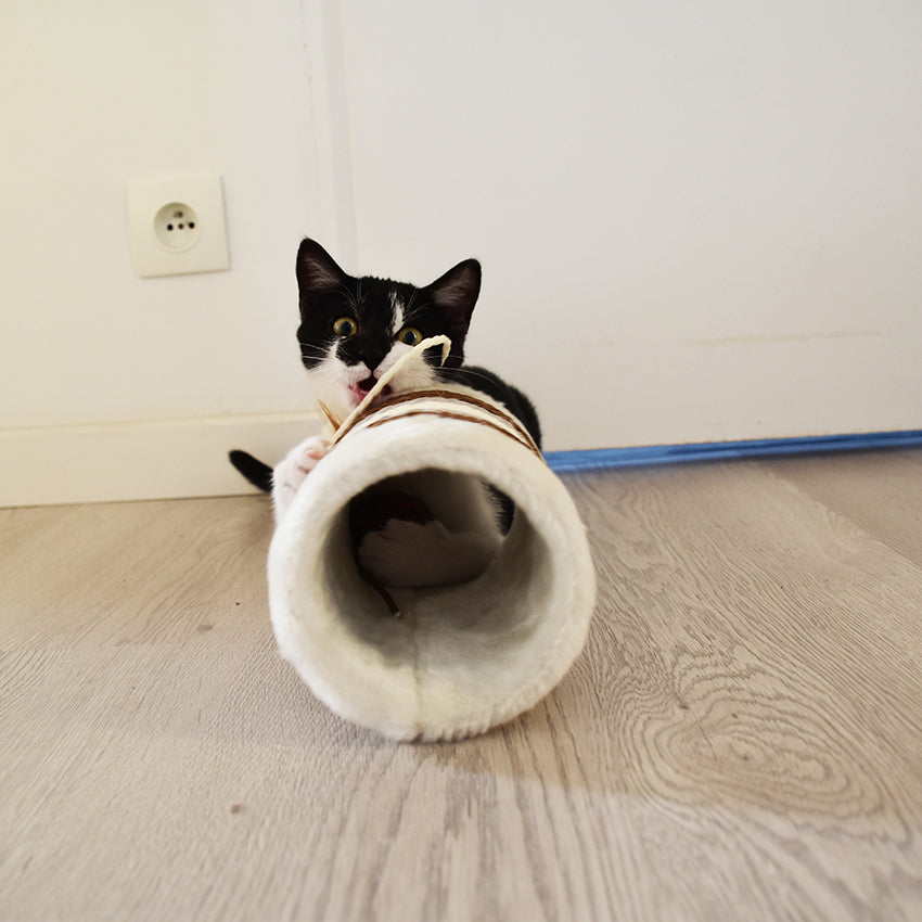 Cat scratching post - Roll