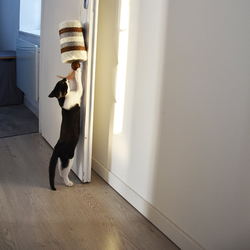 Cat scratching post - Roll