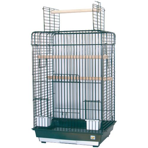 Cage à perroquets