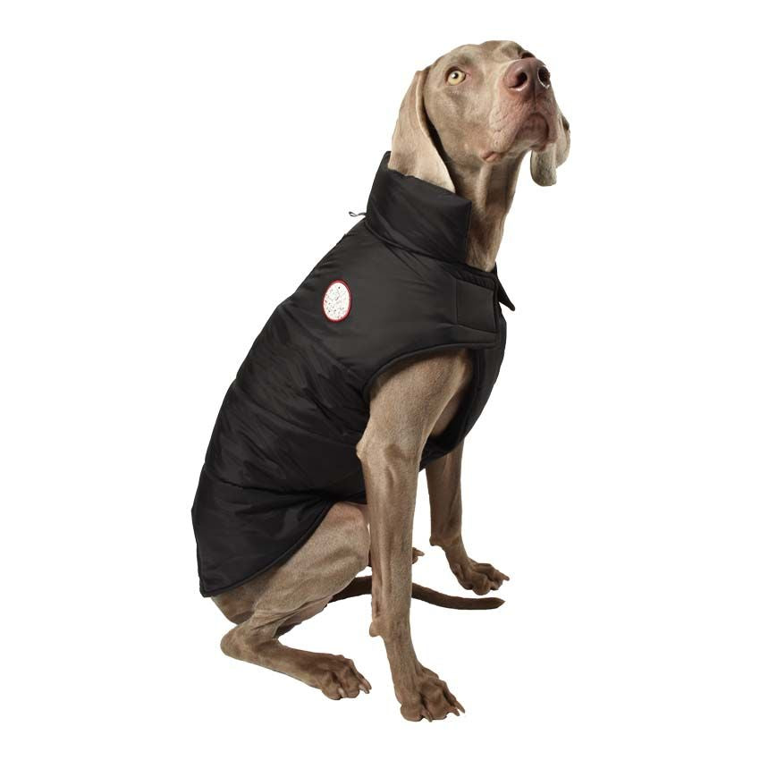 Giacche per cani Bobby Dog Nero