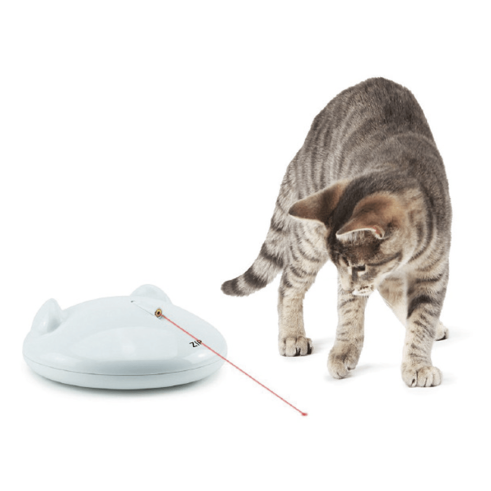 Zip cat game with laser