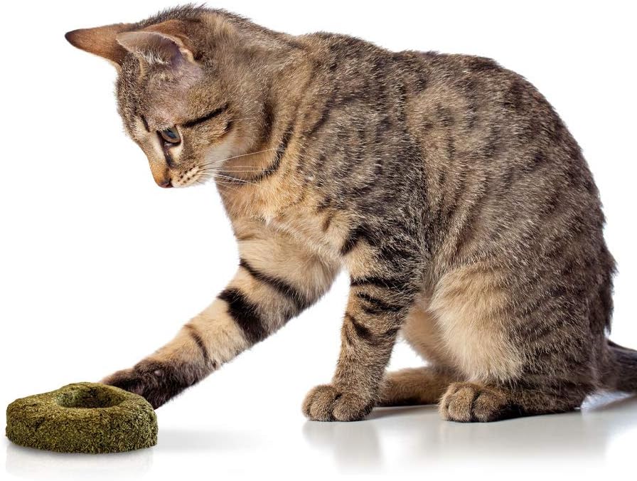 Gioco per gatto Euphoria