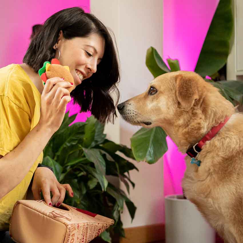 Gioco per cane indistruttibile