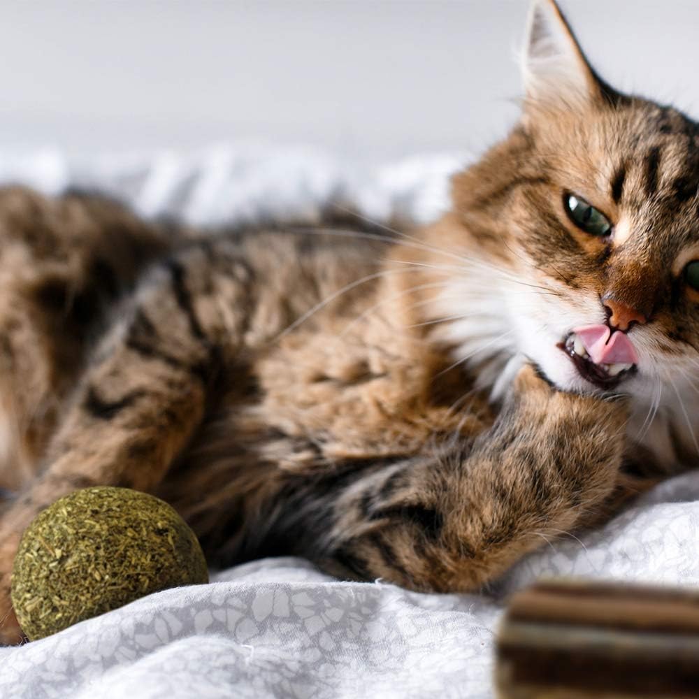 Euphoria: palla di erba gatta e silvervine da 2Pz