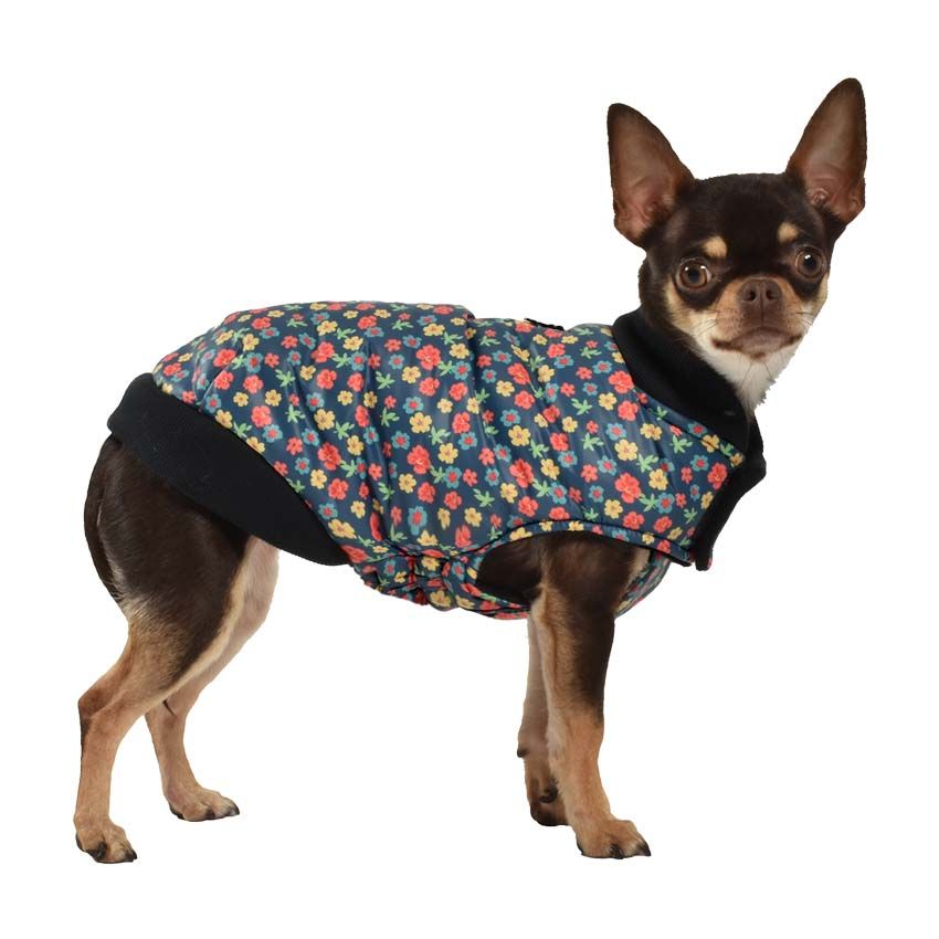 Giubbotti per cani Bobby Floralie